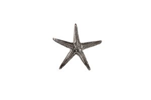 Ciondolo Stella marina, in argento, grande