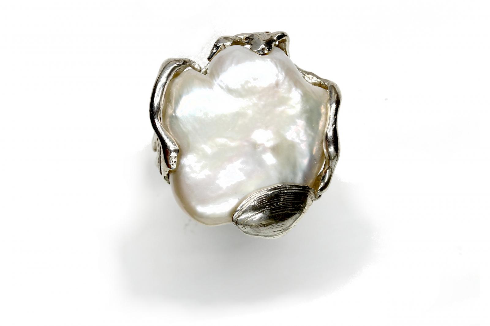 Immagine principale prodotto