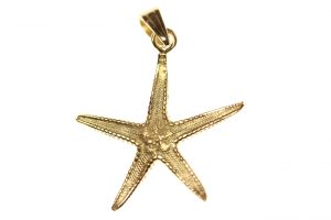 Ciondolo Stella Marina, media