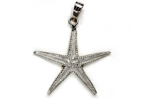 Stella marina, grande