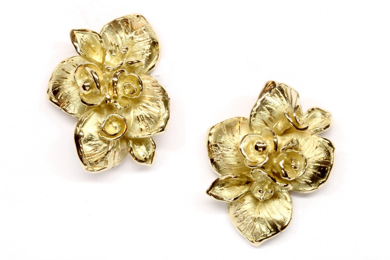 Immagine principale prodotto